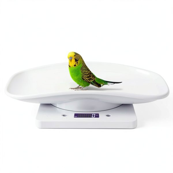 Fdit White LCD Pet Scale for Small Pets-4