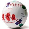 Softball Pitching Trainer by S.C. Products Inc Rubber-1