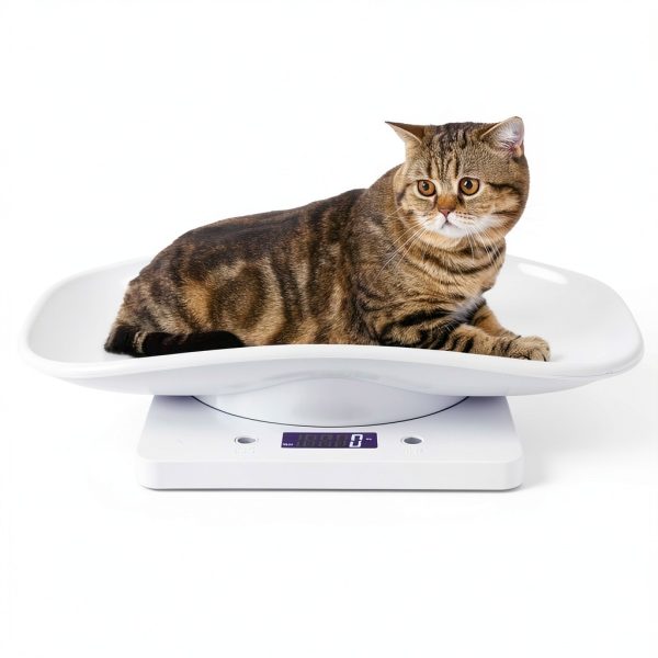 Fdit White LCD Pet Scale for Small Pets-3