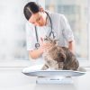 Kytree White Pet Scale for Small Pets Baby-6