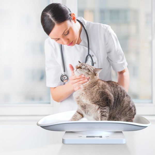 Kytree White Pet Scale for Small Pets Baby-6