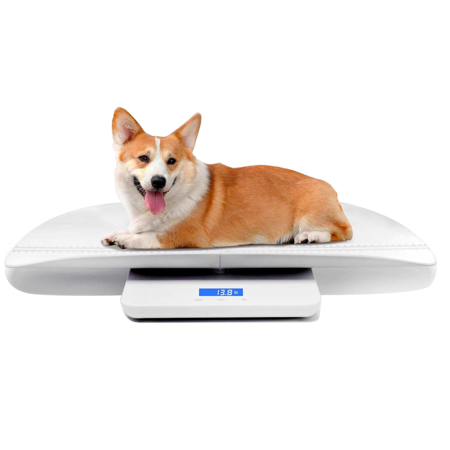 Baby being weighed on the MINDPET-MED foldable scale in a nursery
